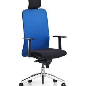 Comfy Executive Chair